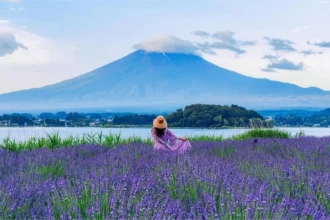 Industri pariwisata Jepang