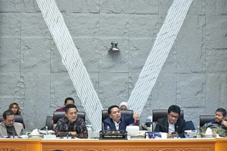 Ketua Komisi V DPR RI, Lasarus