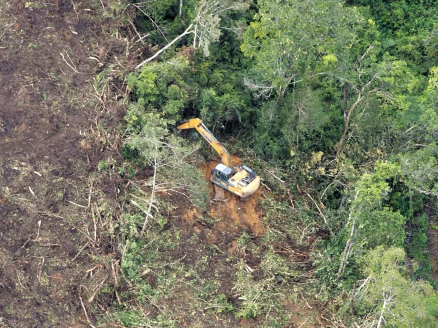 Temuan Auriga Nusantara Soal Pembukaan Lahan PT Toba Pulp Lestari Tbk (TPL).