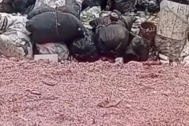 Cacahan uang rupiah limbah BI di TPS liar di Bekasi. (Sumber: Instagram @ lbj_jakarta)