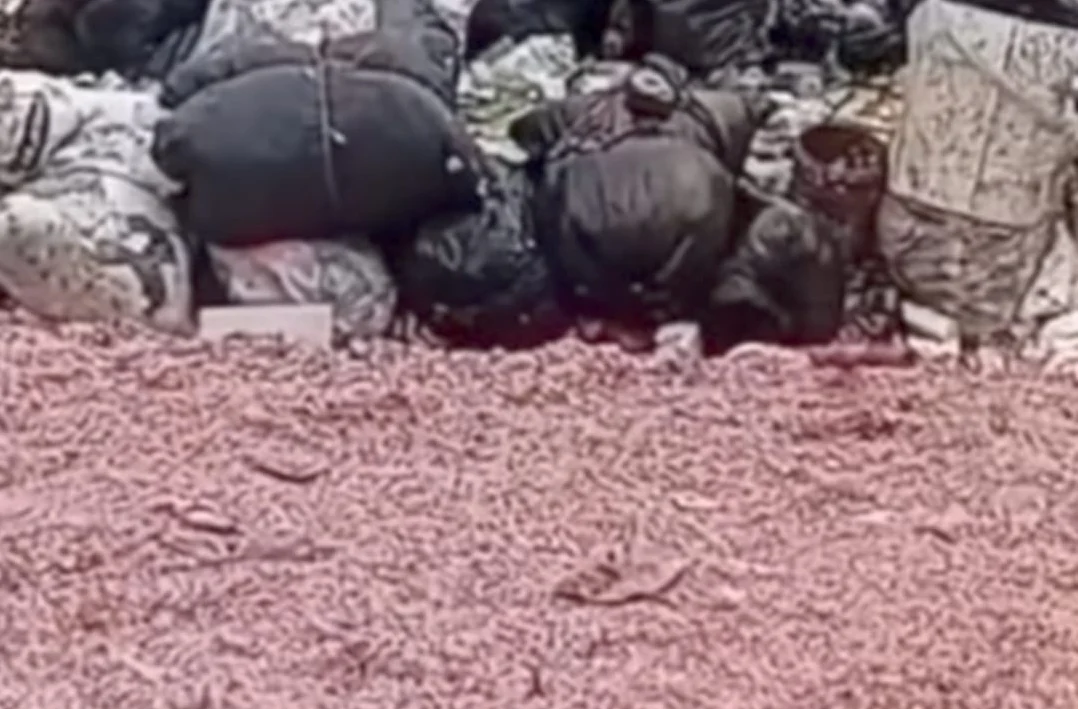 Cacahan uang rupiah limbah BI di TPS liar di Bekasi. (Sumber: Instagram @ lbj_jakarta)