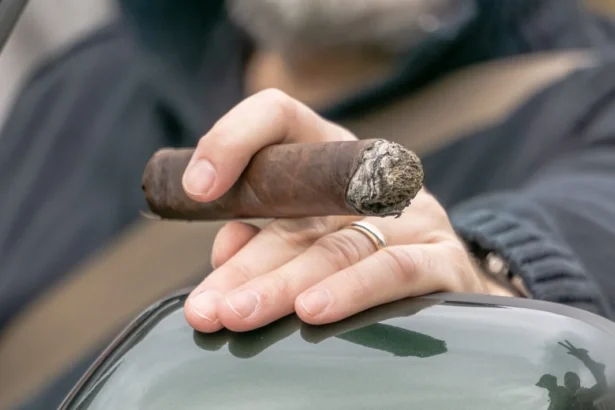 Ilustrasi Rokok Cerutu