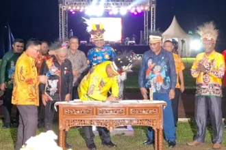 Para Bupati di Wilayah Adat Saireri telah mendeklarasikan pembentukan Daerah Otonom Baru (DOB) Provinsi Papua Utara, pada tahun 2025 lalu.