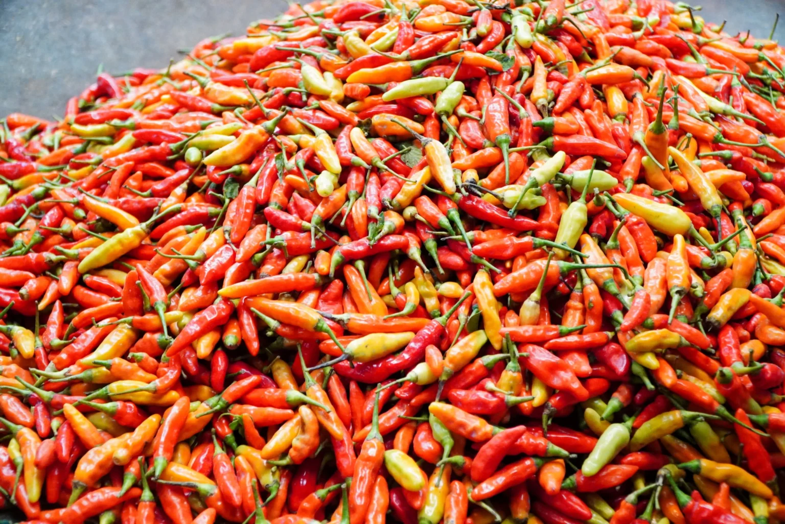 Ilustrasi cabai rawit merah (sumber: Badan Pangan Nasional)