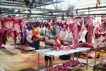 Ilustrasi daging sapi (sumber: Bapanas)