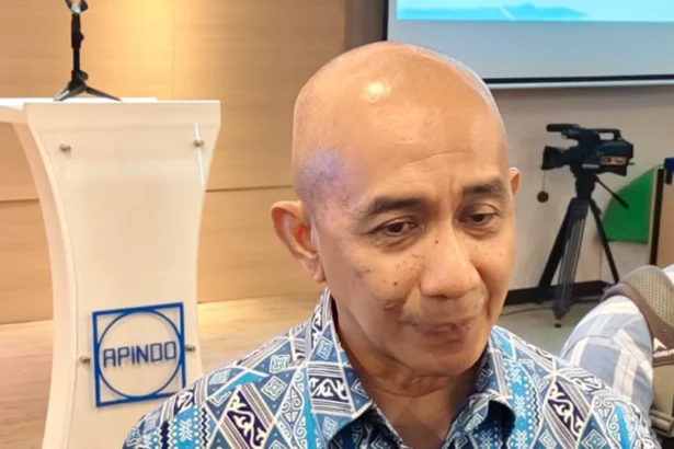 Ketua Komite Pertambangan Minerba Asosiasi Pengusaha Indonesia (Apindo), Hendra Sinadia