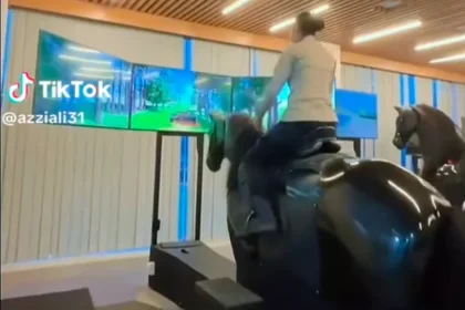 Viral Simulator Berkuda