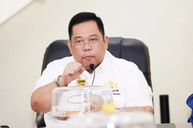 Ketua Kamar Dagang dan Industri Sulawesi Tenggara (Kadin Sultra), Anton Timbang.