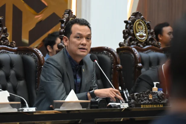 Wakil Ketua Badan Legislasi (Baleg) DPR RI, Martin Manurung,