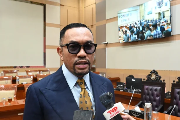 Wakil Ketua Komisi III DPR RI, Ahmad Sahroni