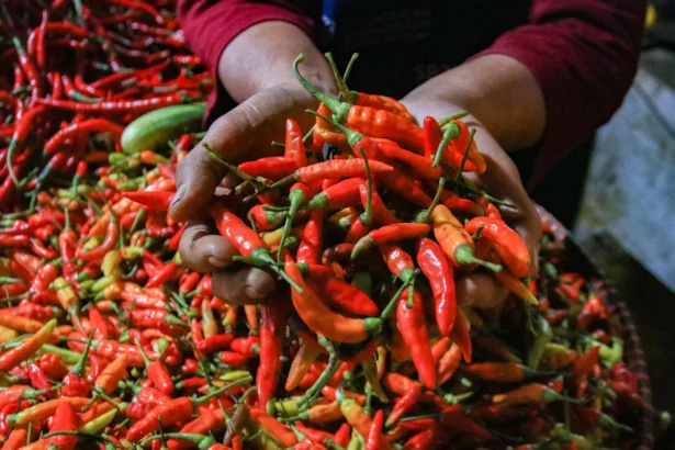 Pedagang menjual cabai rawit merah di Pasar Ciputat, Tangerang Selatan, Banten.