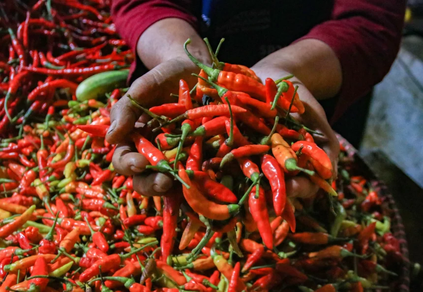 Pedagang menjual cabai rawit merah di Pasar Ciputat, Tangerang Selatan, Banten.