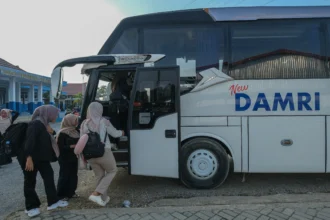 Ketersediaan armada bus hadapi arus mudik di Sulawesi Tenggara