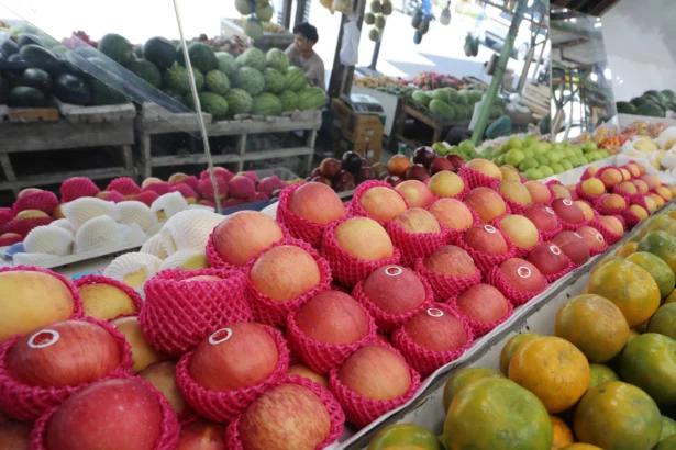 Ilustrasi Buah buhan