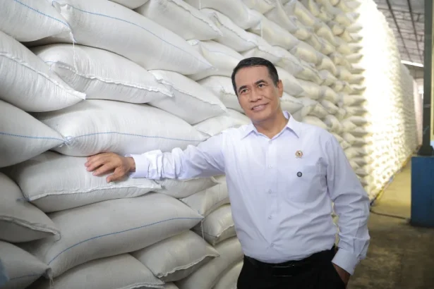 Menteri Pertanian Andi Amran Sulaiman