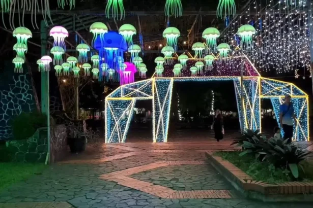 Festival Light Wonderland