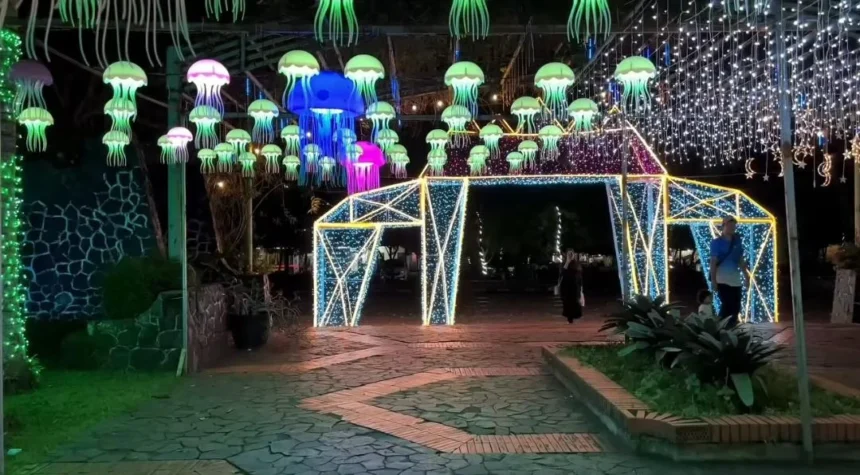 Festival Light Wonderland