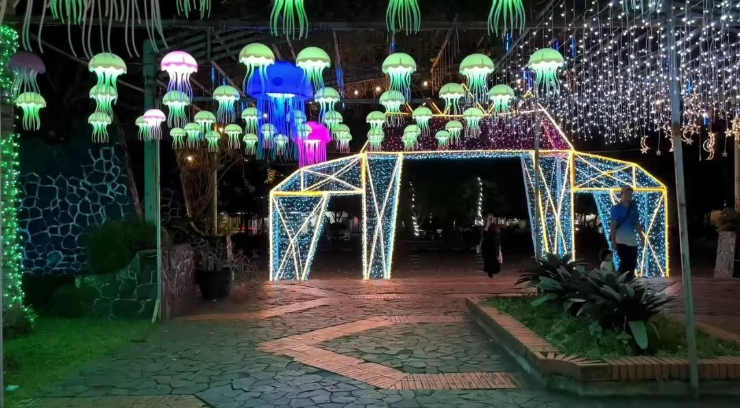 Festival Light Wonderland