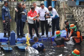 Gubernur DKI Jakarta, Pramono Anung saat penangkapan massal ikan sapu-sapu.