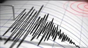 Gambar ilustrasi getaran gempa