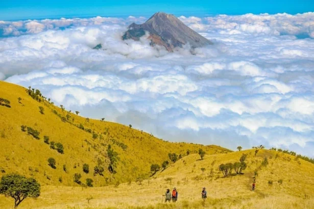 Gunung Merbabu