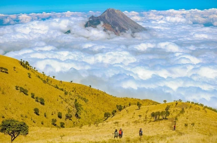 Gunung Merbabu