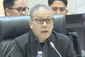 Wakil Ketua Komisi XI DPR RI, Dolfie Othniel Frederic.