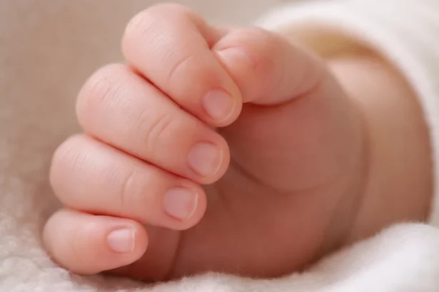 Ilustrasi tangan bayi