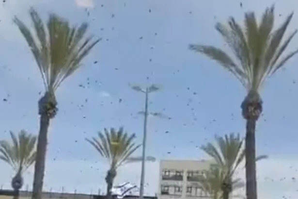 Wabah lebah yang menyerbu pusat komersial Netivot.