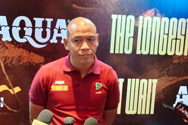 Pelatih Timnas Indonesia U-20, Nova Arianto