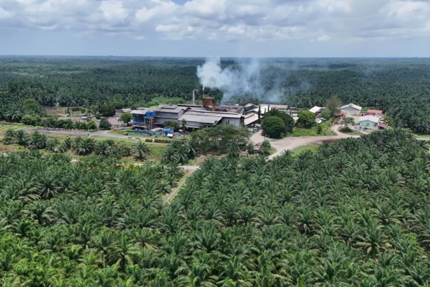 Foto udara pabrik minyak kelapa sawit mentah atau crude palm oil (CPO) milik PT Karya Tanah Subur (KTS) sedang beroperasi Desa Padang Sikabu, Kaway XVI, Aceh Barat, Aceh, Rabu (22/4/2026). Badan Pusat Statistik (BPS) mencatat nilai ekspor CPO dan turunannya pada Januari-Februari 2026 mencapai 4,69 miliar dolar Amerika Serikat (AS) atau melonjak 26,40 persen dibandingkan periode yang sama tahun sebelumnya sebesar 3,71 miliar dolar AS yang menunjukkan permintaan di pasar internasional terhadap produk berbasis sawit Indonesia masih sangat kuat.