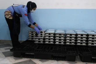 Relawan menata wadah Makan Bergizi Gratis di dapur Satuan Pelayanan Pemenuhan Gizi (SPPG) di Kota Malang, Jawa Timur