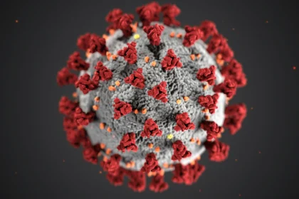 Ilustrasi Virus Covid-19. (Sumber: Unsplash/CDC)