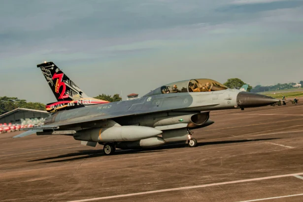 Pesawat Tempur F-16 miliar TNI-AU. (Sumber: Unsplash/Fasyah Halim)
