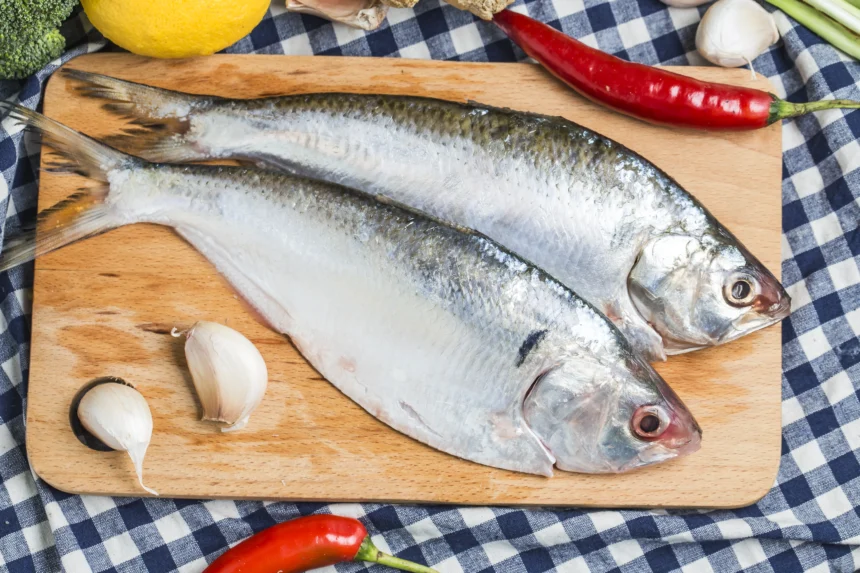 Ikan Patin