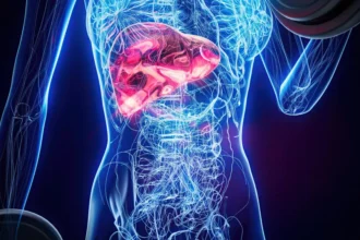Ilustrasi liver