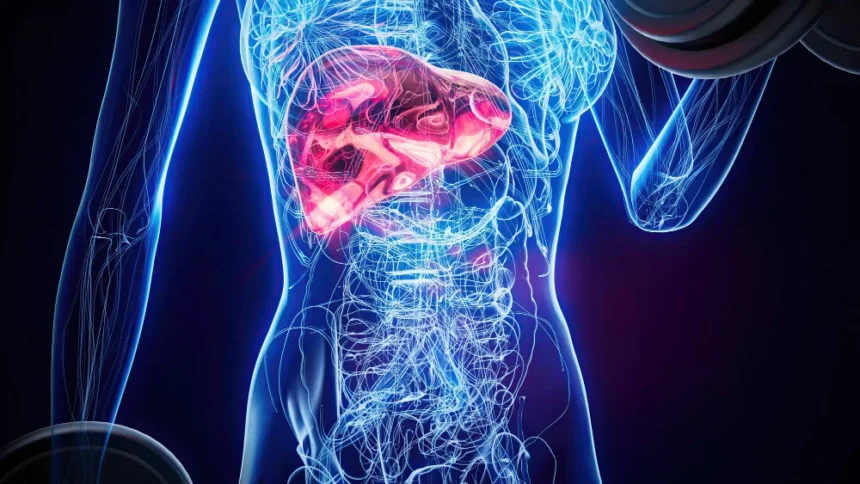 Ilustrasi liver