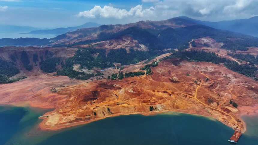 Deforestasi oleh pembangunan kebun sawit dalam konsesi PT Borneo International Anugerah di Putussibau, Kapuas Hulu, Kalimantan Barat. (Foto: Auriga Nusantara)