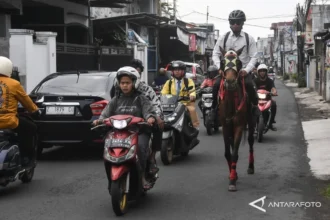 Viral ASN Tasikmalaya Naik Kuda ke Kantor