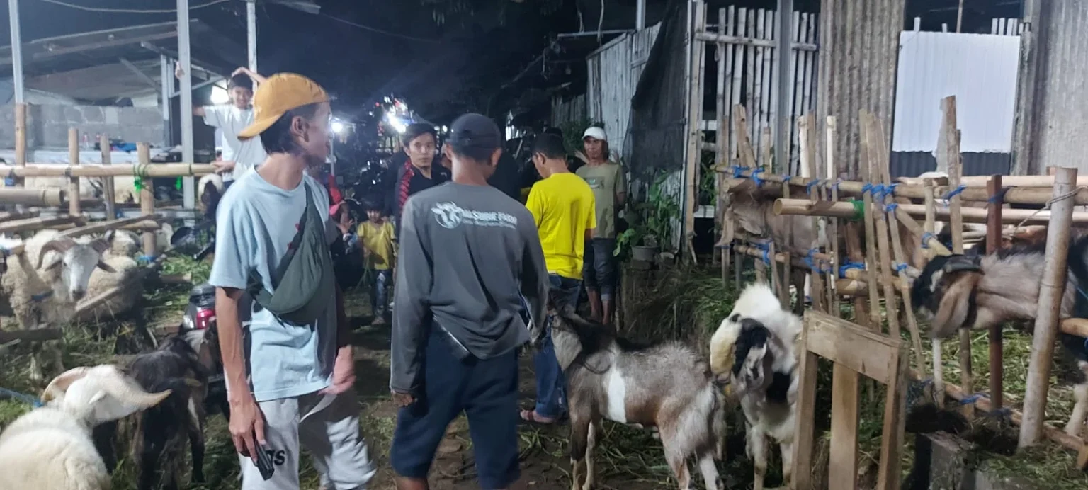 Penjual hewan kurban