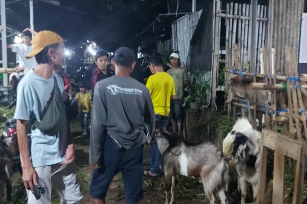 Penjual hewan kurban