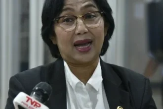 Anggota Komisi IX DPR Fraksi NasDem, Irma Suryani Chaniago