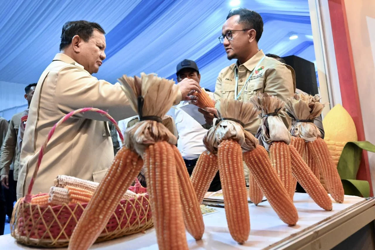 Presiden Prabowo meninjau hasil panen raya jagung serentak, di Tuban, Jawa Timur, 16 Mei 2026.