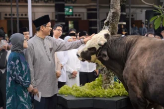 Menteri Keuangan Purbaya Yudhi Sadewa.