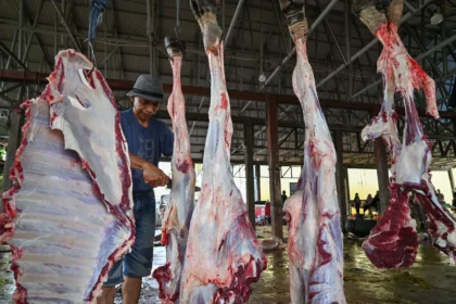 Pekerja menguliti dan memotong daging sapi kurban di Rumah Potong Hewan (RPH) Tavanjuka, Palu, Sulawesi Tengah