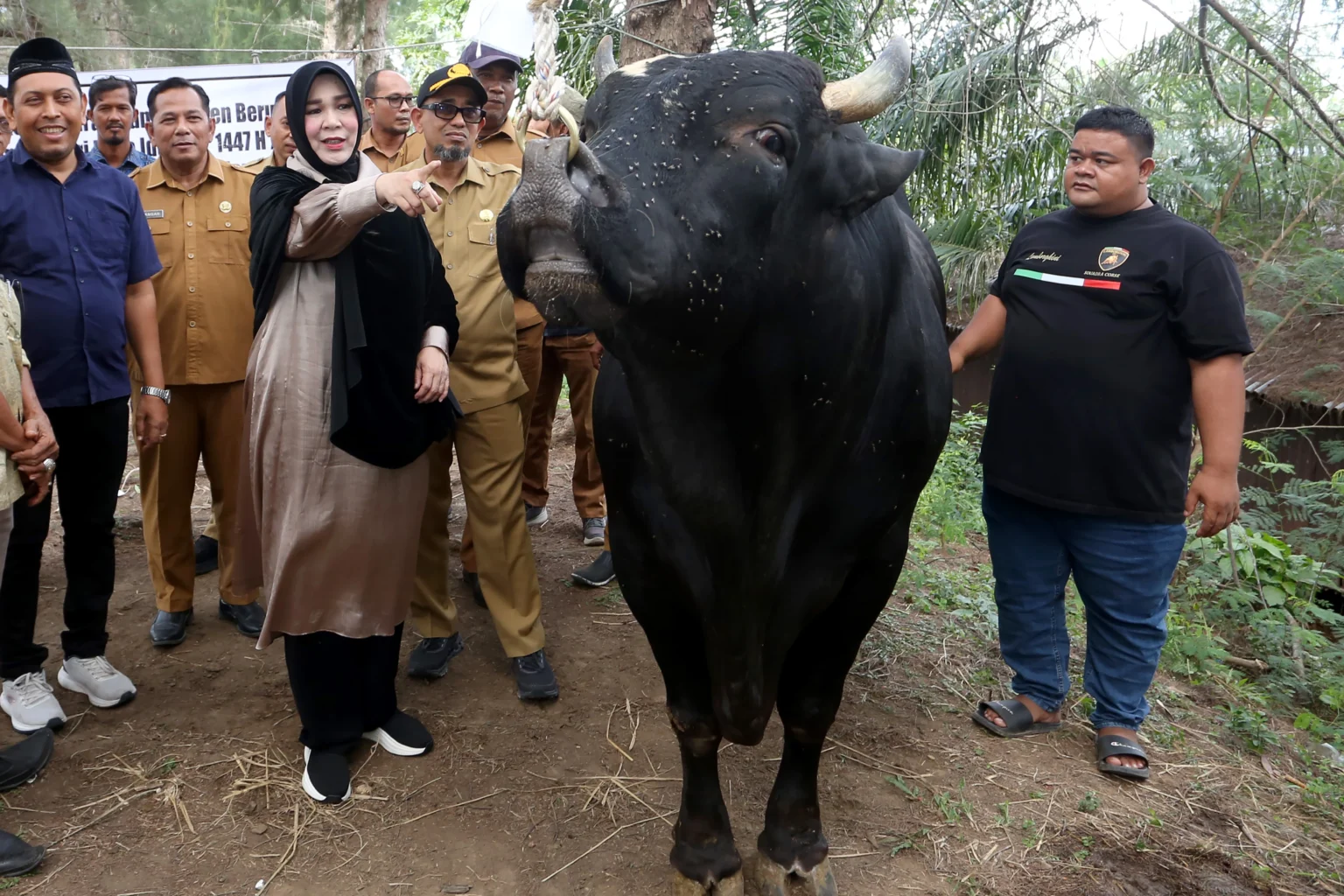 Wali Kota Banda Aceh Illiza Saaduddin Djamal (tengah) melihat seekor sapi bantuan kemasyarakatan Presiden Prabowo Subianto jenis simmental yang diterima Pemerintah Kota di Desa Ilie, Banda Aceh, Aceh, Selasa (26/5/2026). (Sumber: Antara Foto/Irwansyah Putra/wsj)