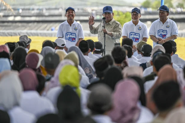Presiden Prabowo Subianto (kedua kiri) didampingi Menteri Koordinator Bidang Pangan (Menko Pangan) Zulkifli Hasan (kedua kanan), Menteri Kelautan dan Perikanan Sakti Wahyu Trenggono (kiri), Wamen KKP Didit Herdiawan (kanan) saat meninjau panen raya udang di lokasi Tambak Budidaya Udang Berbasis Kawasan (BUBK) Kebumen, Jawa Tengah, Sabtu (23/5/2026). (Sumber: Antara Foto/Galih Pradipta/foc)
