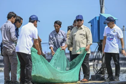 Presiden Prabowo Subianto (kedua kanan) didampingi Menteri Koordinator Bidang Pangan (Menko Pangan) Zulkifli Hasan (kanan) menjaring udang saat panen raya udang di lokasi Tambak Budidaya Udang Berbasis Kawasan (BUBK) Kebumen, Jawa Tengah, Sabtu (23/5/2026). (Sumber: Antara Foto/Galih Pradipta/foc)