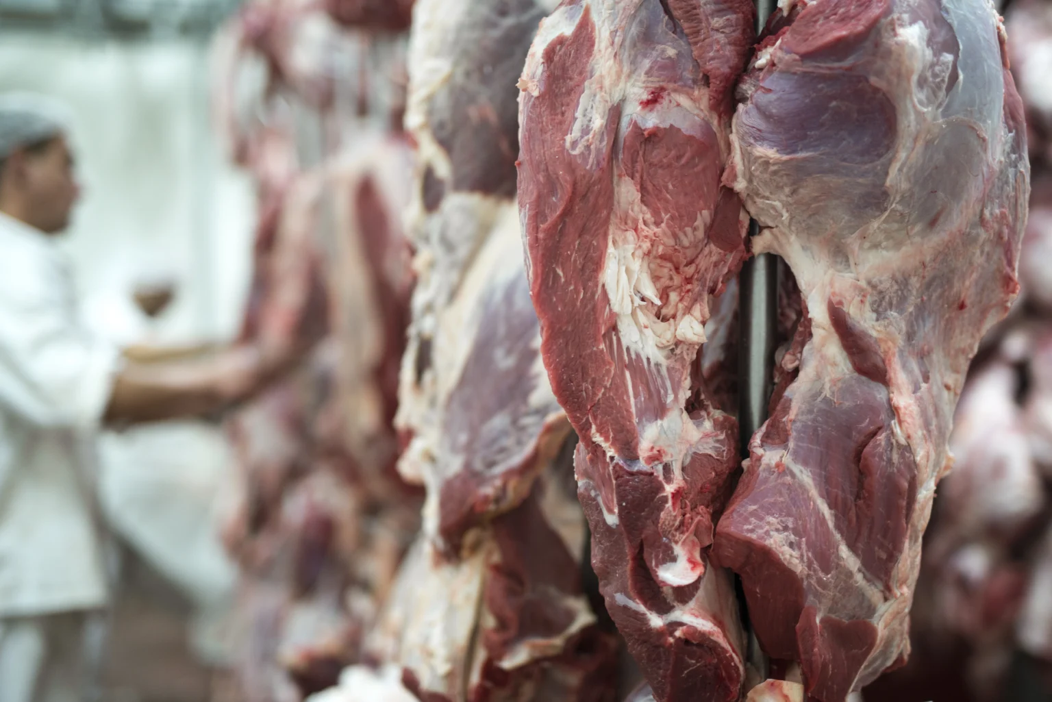 Gambar ilustrasi daging kurban