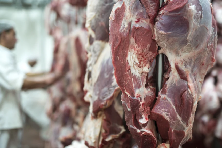 Gambar ilustrasi daging kurban